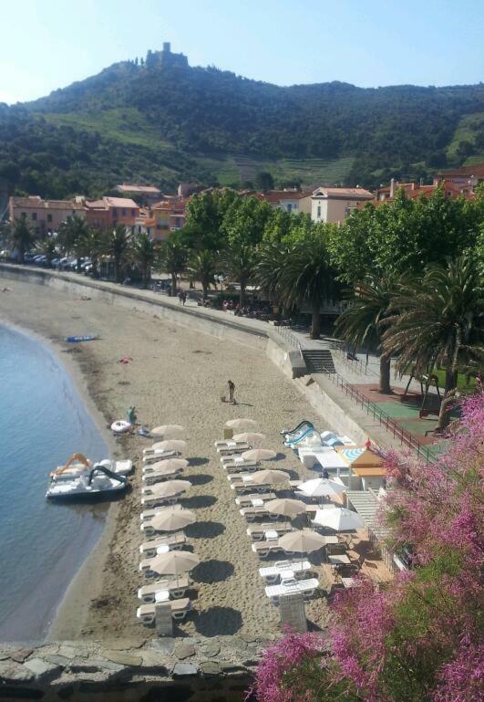 Charme A 20 M De La Plage Centre Village Коллиур Экстерьер фото